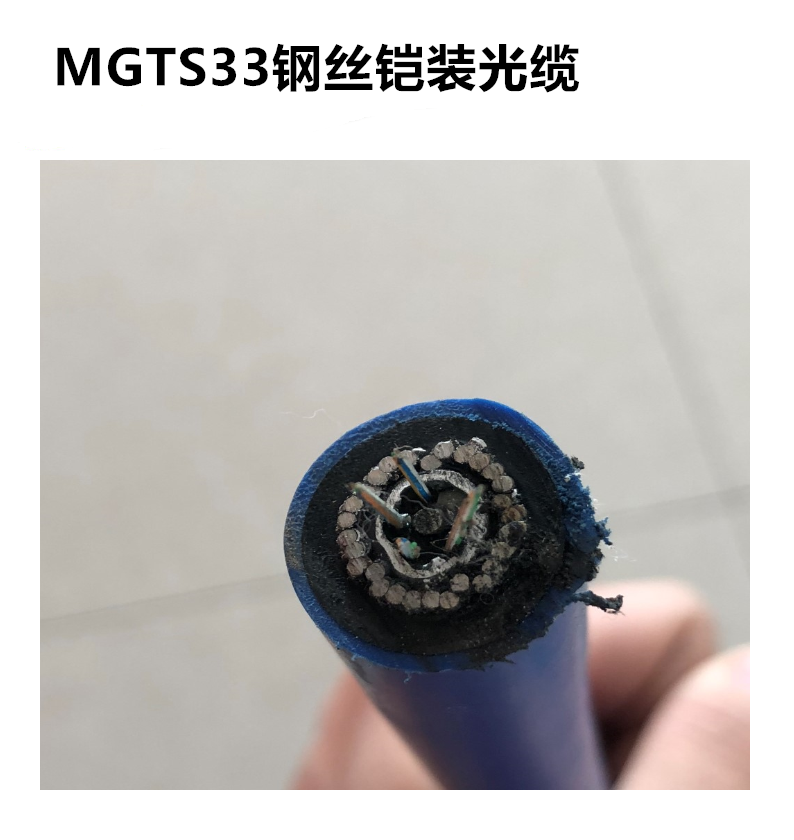 MGTS33 